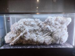 -湖南省地质博物馆