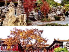 -故宫博物院(故宫)