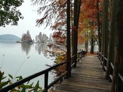 -东湖落雁景区