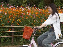 -贵阳市花溪国家城市湿地公园