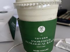 -茉酸奶(春熙路店)