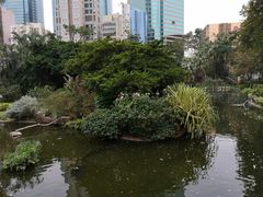 -九龙公园