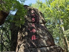 -汤旺河林海奇石景区