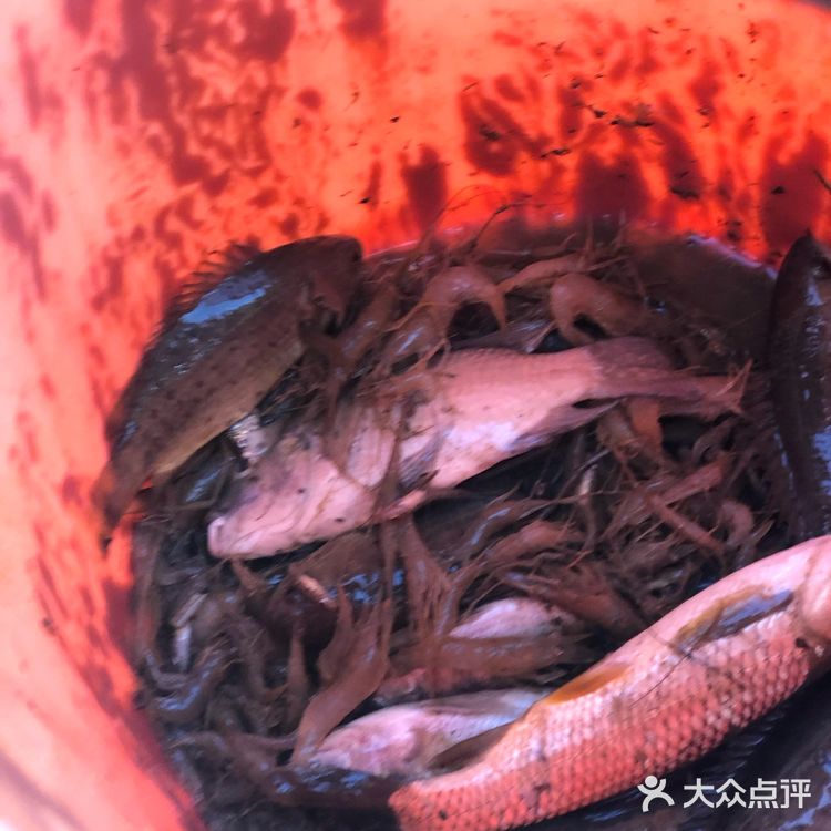 山塘水库摸鱼虾