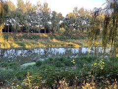 -东郊湿地公园