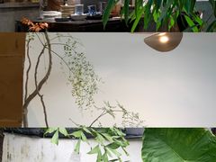 -自由生长植物工作室(深港花卉中心店)