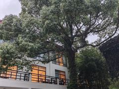 -普陀山雷迪森庄园