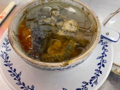 -達揚原味燉品(文明路店)