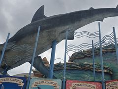 -海合安武汉极地海洋公园