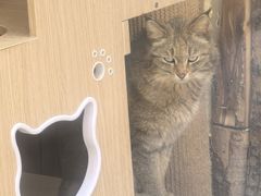 -青藏高原野生动物园