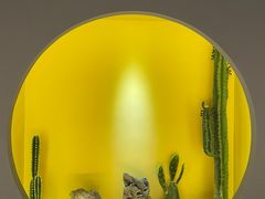 -得闲·高空SPA(东盟店)