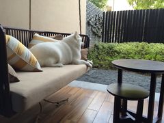 -上海崇明金茂凯悦酒店