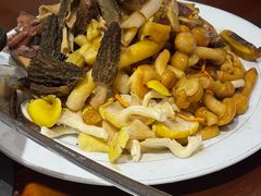 -菌之家·专业纯野生菌火锅·特色炒菌