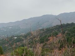 -福奈特洗衣·洗鞋·奢侈品护理(北京上京家园店)