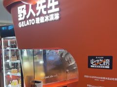-野人先生现做冰淇淋(北京王府井东方新天地店)