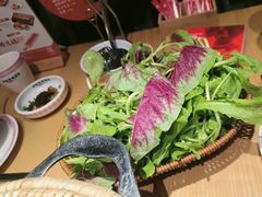 -老凯俚酸汤鱼(多彩城店)