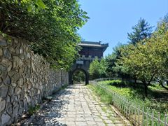 -云岗森林公园