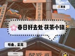 -茯茶镇