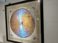 -上海昆虫博物馆