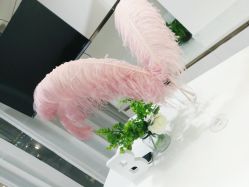 -OAE日式皮肤管理お肌の