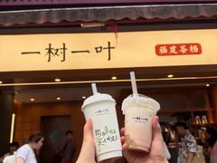 -一树一叶·福建茶档(石鼓路店)