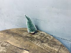 -美芝莲(领展购物广场中关村店)