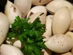 -青叶日式料理(飘亮阳光广场店)