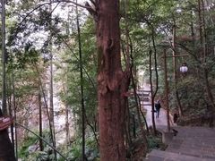 -井冈山风景名胜区
