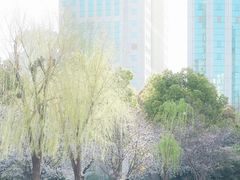 -西北湖绿化广场