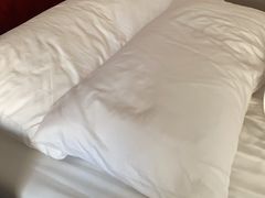 -上海圣淘沙万怡酒店