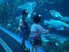 -成都浩海立方海洋公园