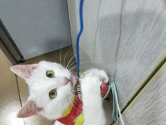 -安安宠医·臻爱宠物医院·宠保定点(营门口路分院)