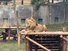 -泉州海丝野生动物世界