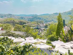 -桃源山庄·水蜜桃采摘·柴火鸡·烧烤团建(龙泉山店)