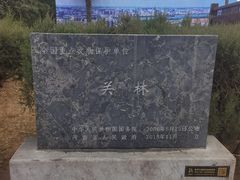 -关林