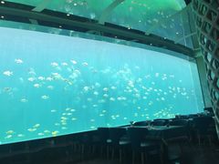 -瑞德姆美人鱼海底演艺主题餐厅(亚龙湾店)