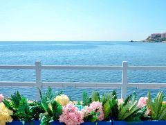 -北戴河碧螺塔海上酒吧公园