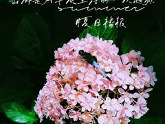 -黔灵山公园