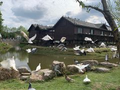 -东台西溪天仙缘景区