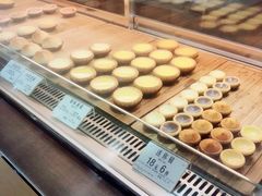 -芳叔(动漫星城店)