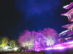 -疯克大象美式烤肉餐厅