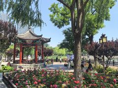 -西海子公园