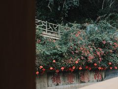 -友谊关景区