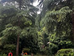 -兰溪地下长河