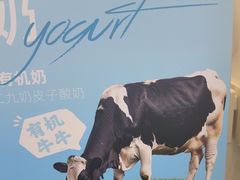 -白色日记·手作酸奶(麦凯乐店)