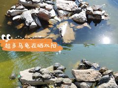 -龙华寺