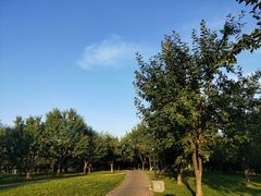 -洨河生态公园
