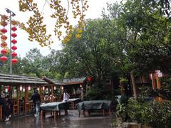 -青城甲(青城山店)