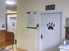 -瑞派宠物医院·24小时骨科·心脏·核磁(哈尔滨南岗店)
