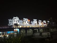 -武汉两江游览·夜游长江(汉口粤汉码头)